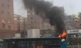 大连公交车最新爆料,揭秘最新线路调整与乘车体验升级